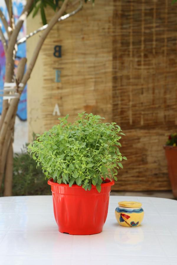 Babina'S Place-Traditional House In Ermoupoli Exterior foto